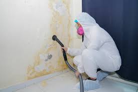 Biohazard Mold Removal in New Cumberland, PA